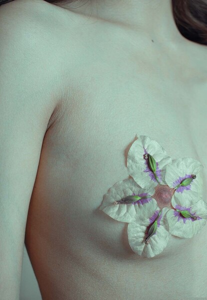 Photograph Allison Alvarez Floral Lobules on One Eyeland
